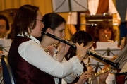 fanfare-sterrebeek-08-7.jpg